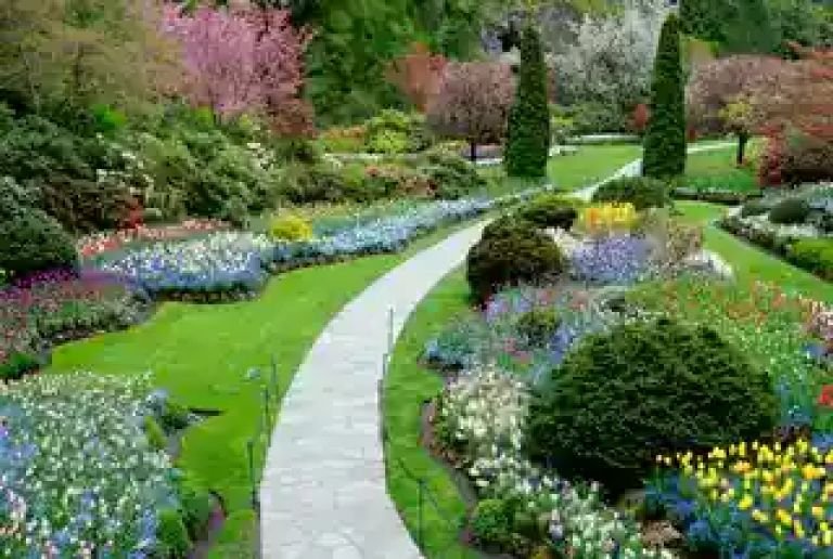 garden-768w