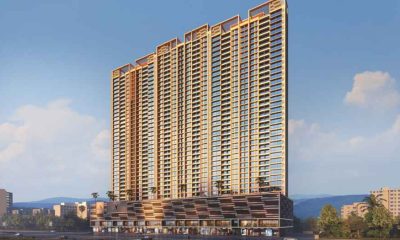 alliaance-the-view-1746953130